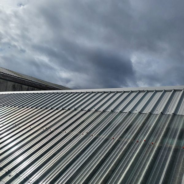 Roof Maintenance